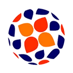 Campeonato Nacional Feminino logo